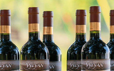 Vylyan Winery – Wine, Gastronomy, Experience